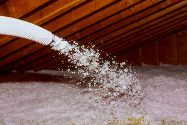 Best DIY Insulation Kits and Guidance in Maple Glen, PA